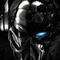 logina_nety